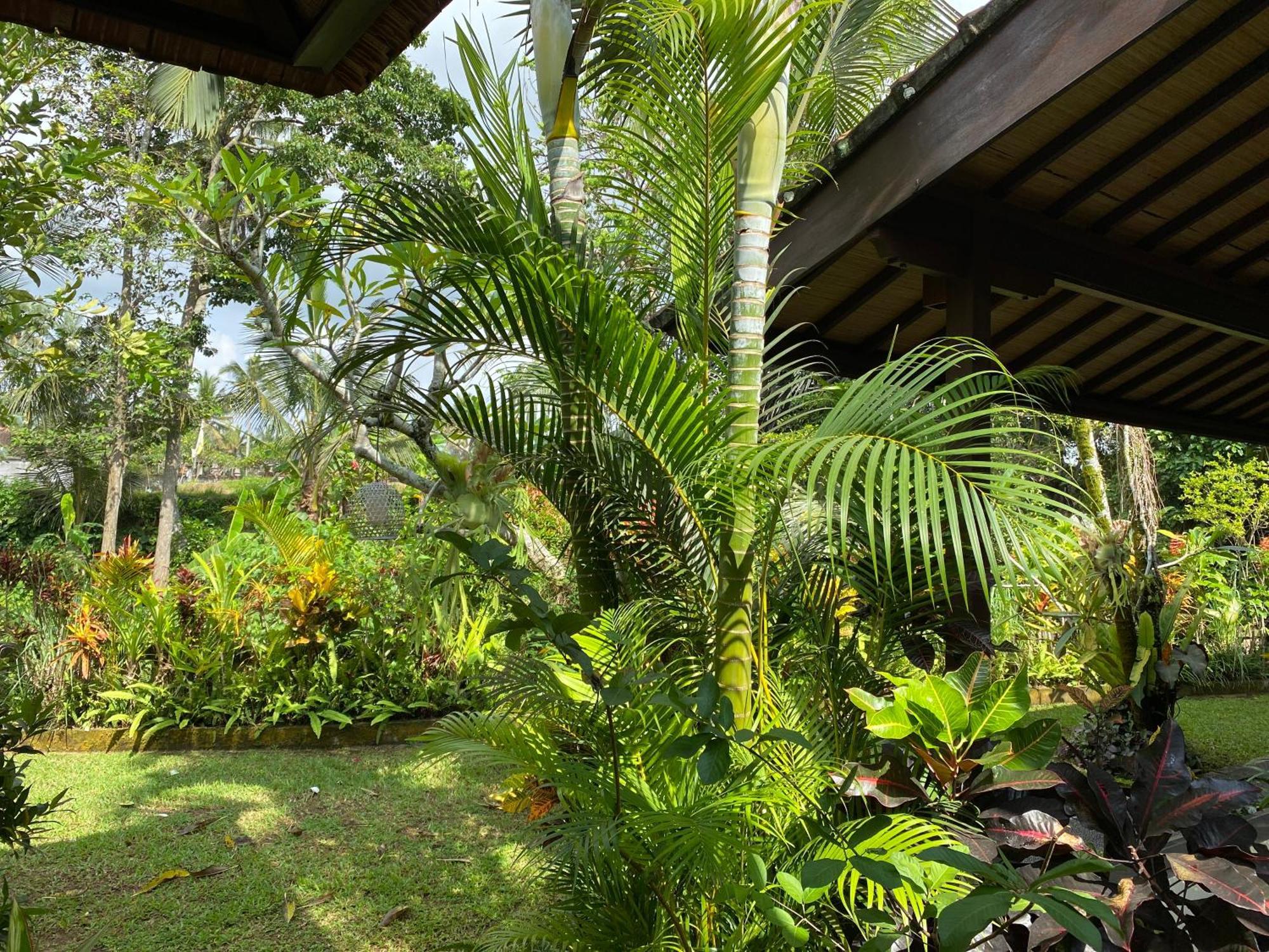 Villa Alam Surya Ubud Eksteriør bilde