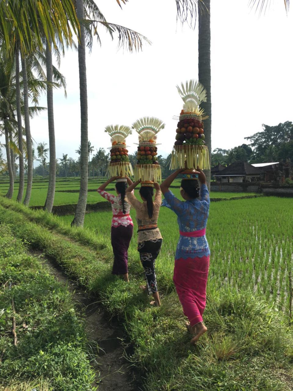 Villa Alam Surya Ubud Eksteriør bilde